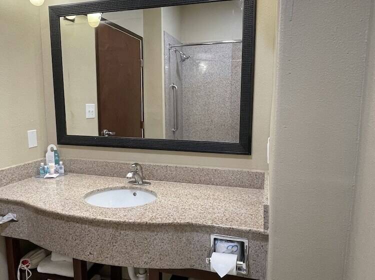 Fotos del hotel Comfort Suites Hobby Airport:  7