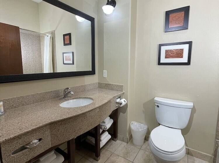 Fotos del hotel Comfort Suites Hobby Airport:  8