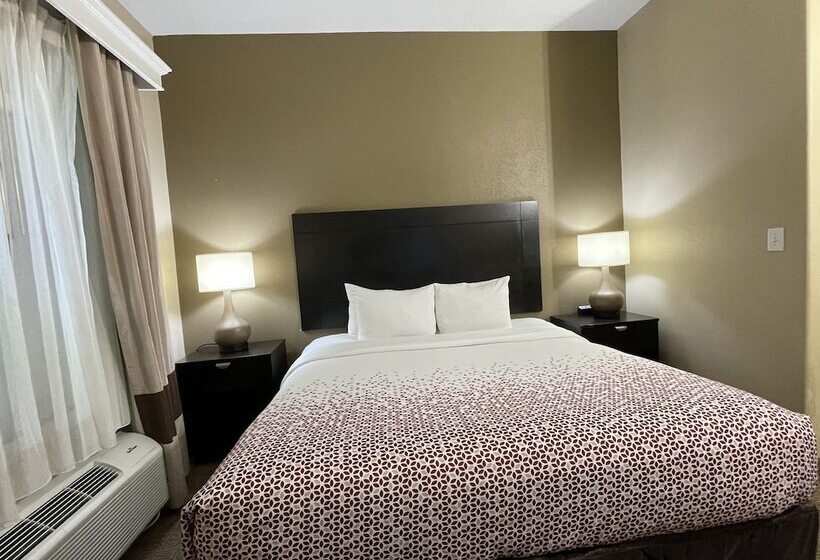 Fotos del hotel Comfort Suites Hobby Airport: 1 Fotos del hotel Comfort Suites Hobby Airport: 1