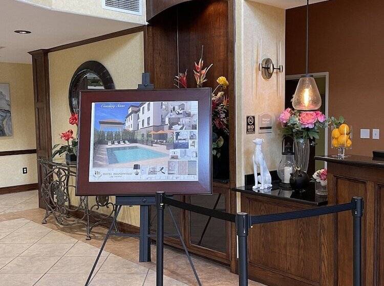 Fotos del hotel Comfort Suites Hobby Airport:  13