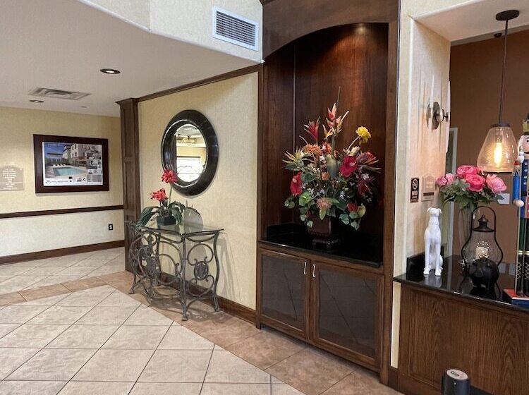 Fotos del hotel Comfort Suites Hobby Airport:  21