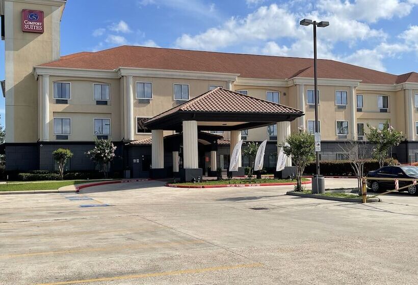 Fotos del hotel Comfort Suites Hobby Airport:  16