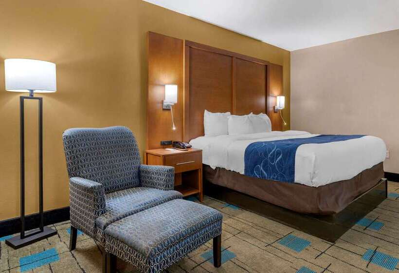 Hotel Comfort Suites Near Mcas Beaufort