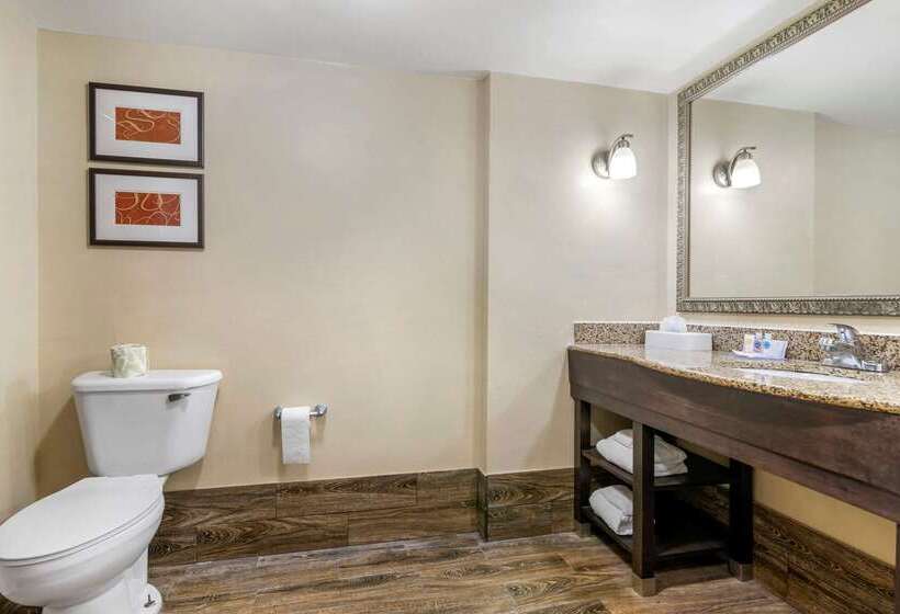 هتل Comfort Suites Near Mcas Beaufort