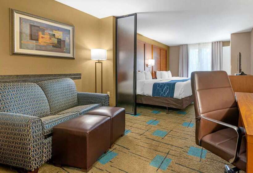 Hotel Comfort Suites Near Mcas Beaufort