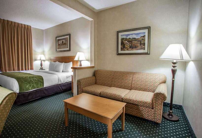 هتل Comfort Suites Peoria I 74