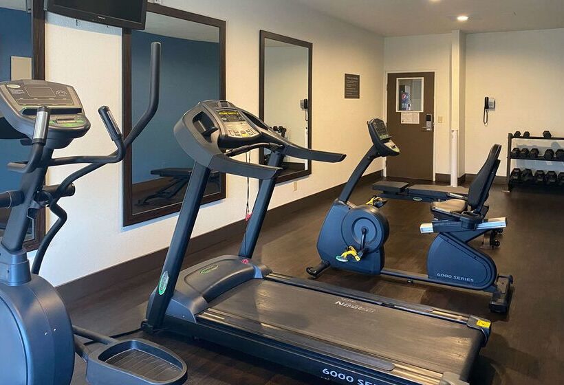 בית מלון כפרי Comfort Suites Peoria I 74