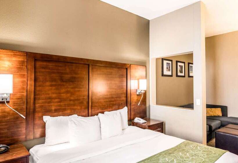 هتل Comfort Suites South