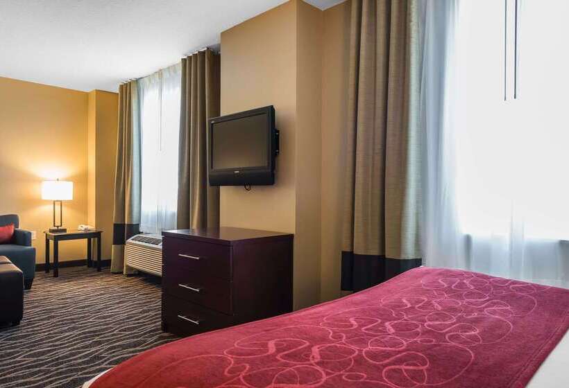 هتل Comfort Suites Tampa Airport North