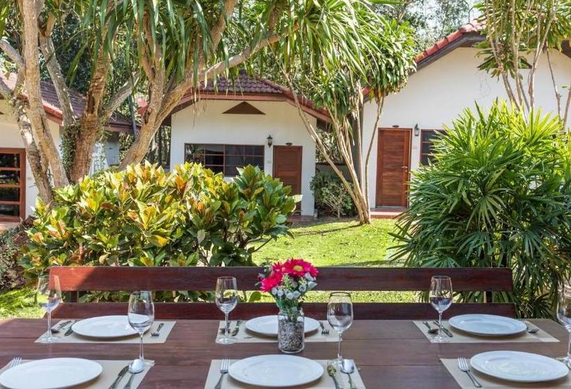 Fotos del hotel Eco Valley Lodge:  6