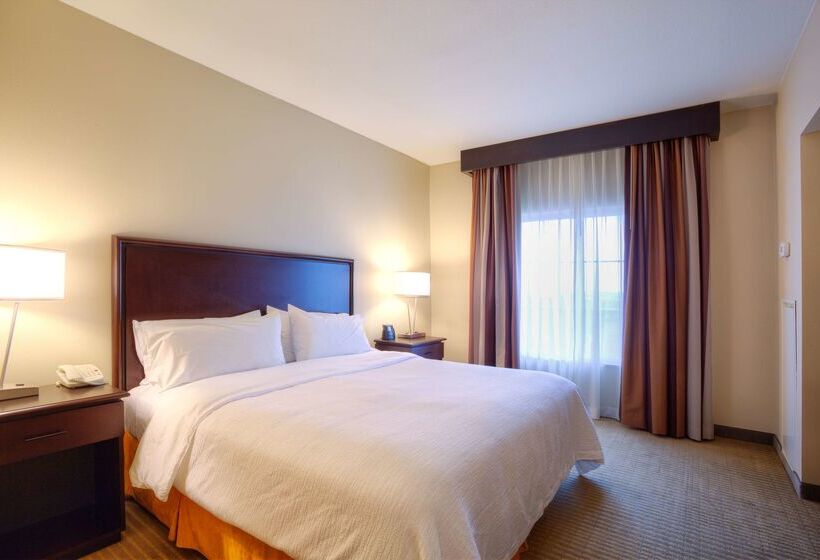 فندق Embassy Suites By Hilton Laredo