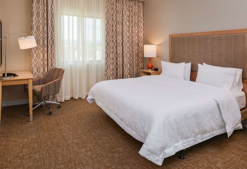 هتل Hampton Inn & Suites Denverspeer Boulevard