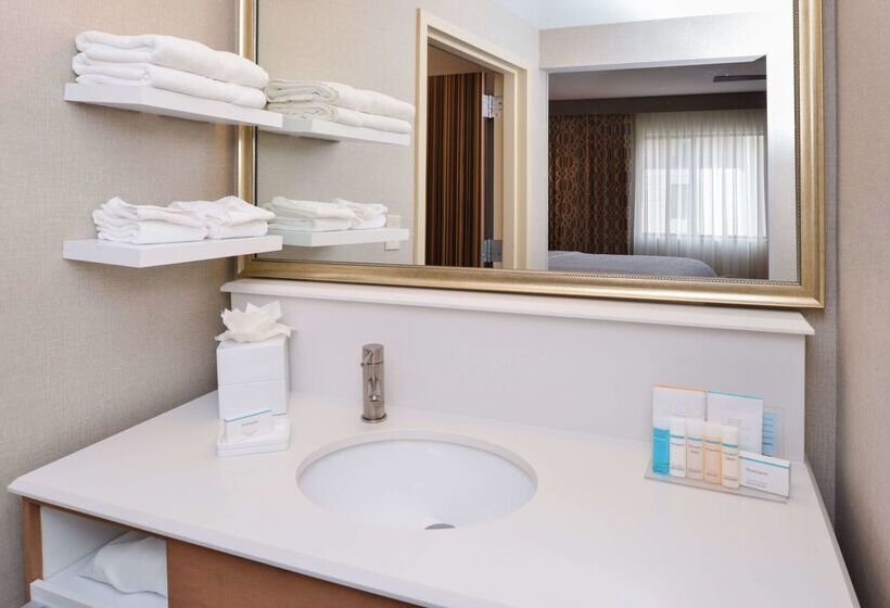 هتل Hampton Inn & Suites Denverspeer Boulevard
