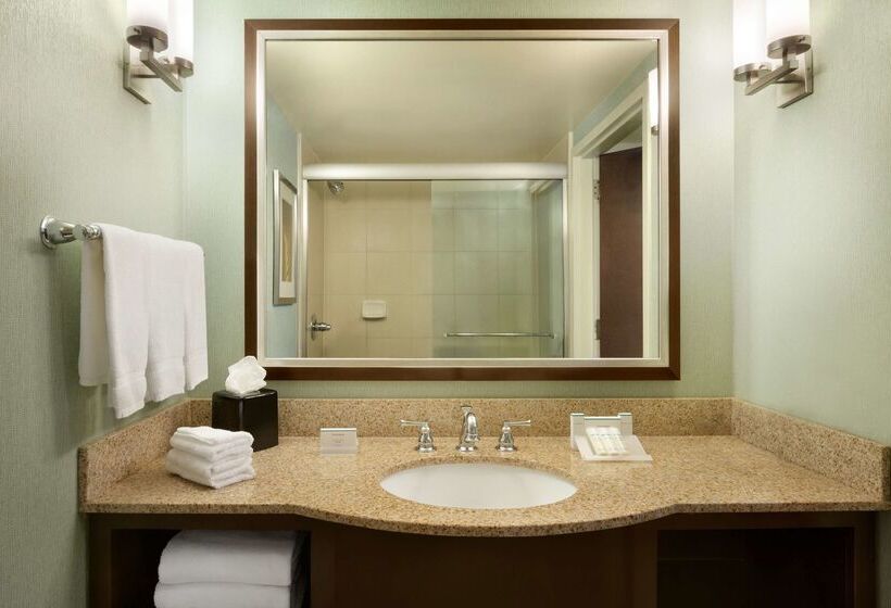 Fotos del hotel Hilton Garden Inn Atlanta Downtown:  48