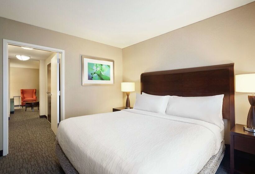Fotos del hotel Hilton Garden Inn Atlanta Downtown:  37