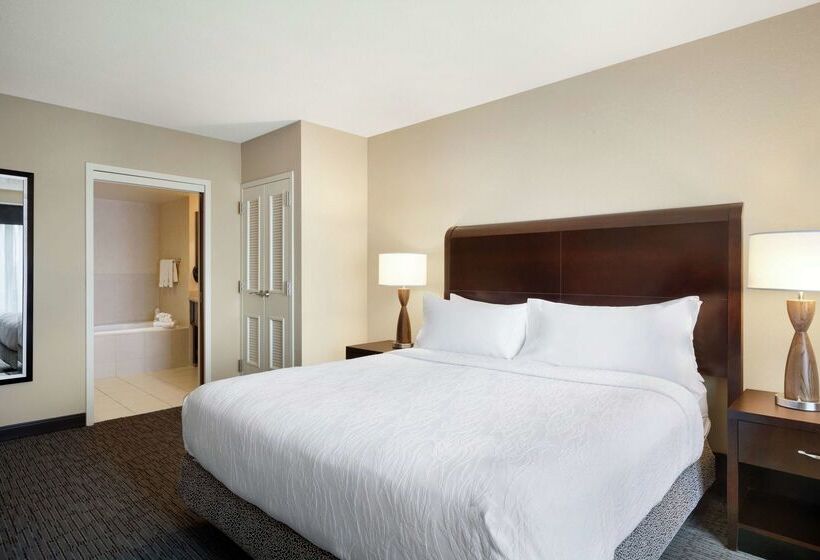 Fotos del hotel Hilton Garden Inn Atlanta Downtown:  25