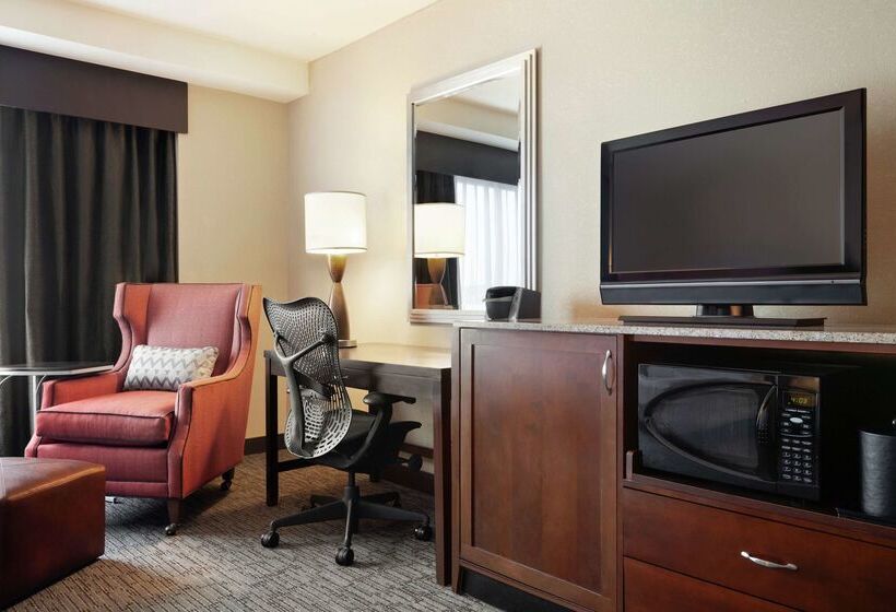 Fotos del hotel Hilton Garden Inn Atlanta Downtown:  20
