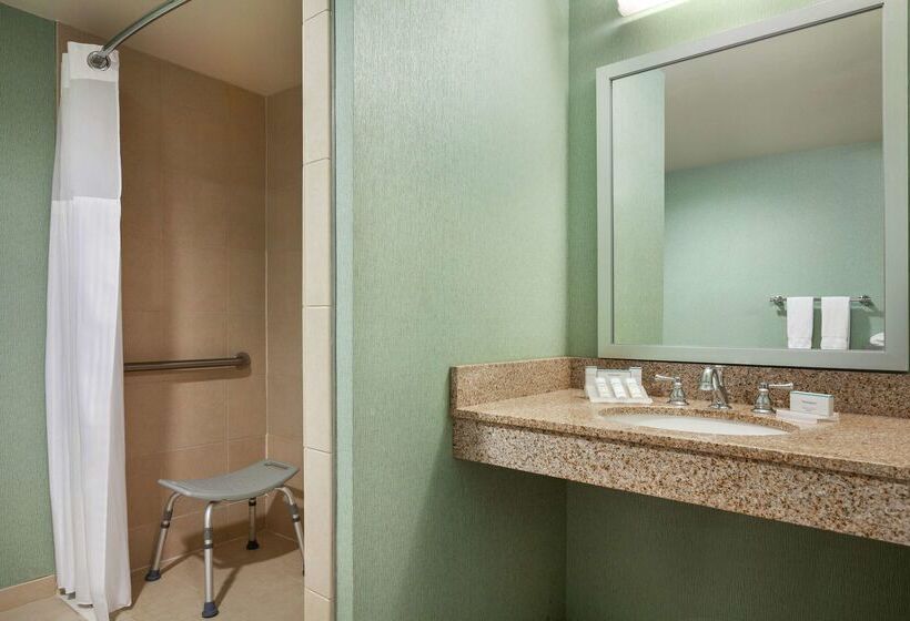Fotos del hotel Hilton Garden Inn Atlanta Downtown:  24