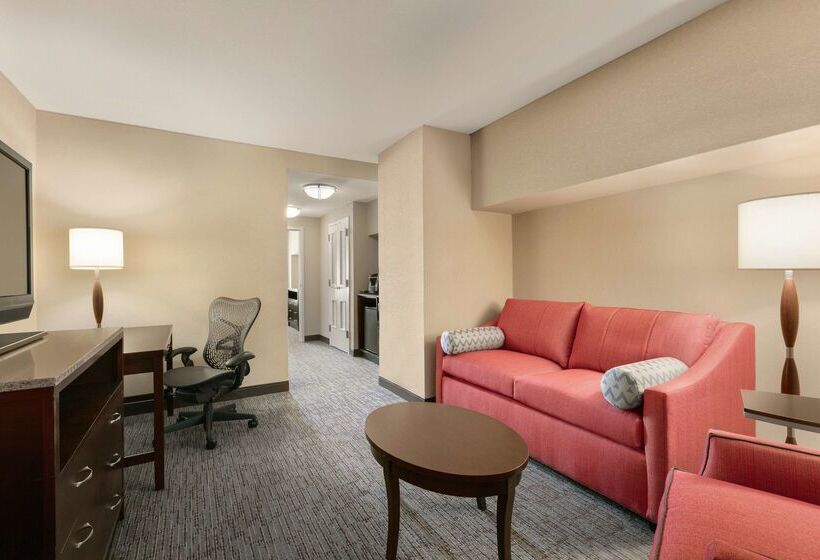 Fotos del hotel Hilton Garden Inn Atlanta Downtown:  59