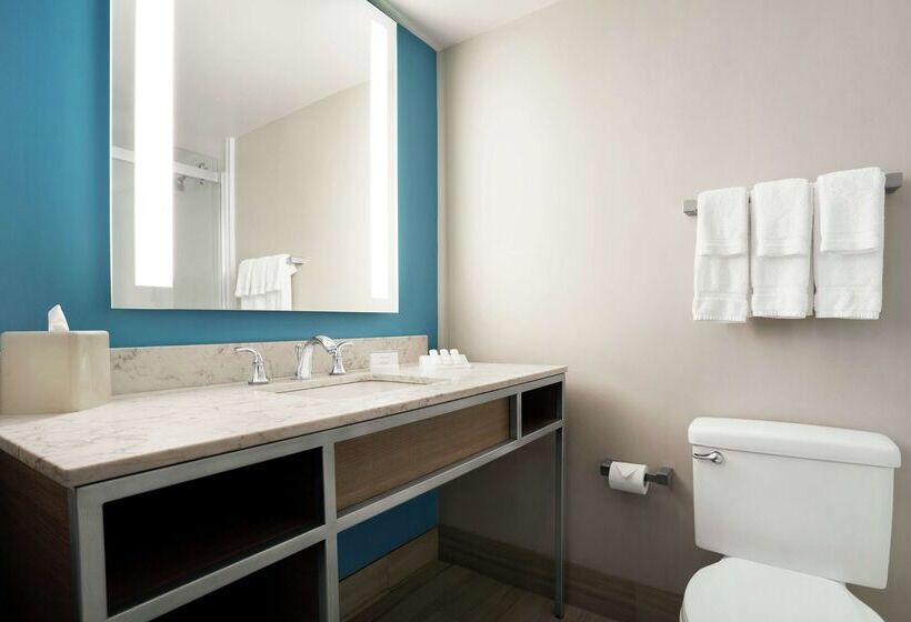 هتل Hilton Garden Inn New Orleans Convention Center