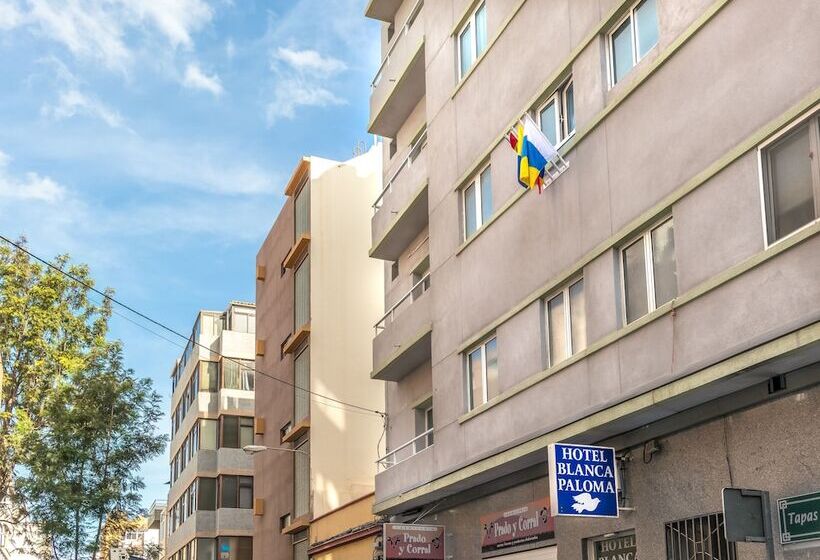 בית מלון כפרי Le Petit Palü Las Palmas