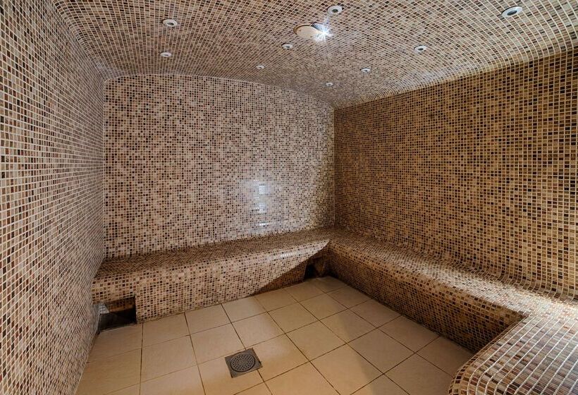 Fotos del hotel Nh Lyon Airport:  10