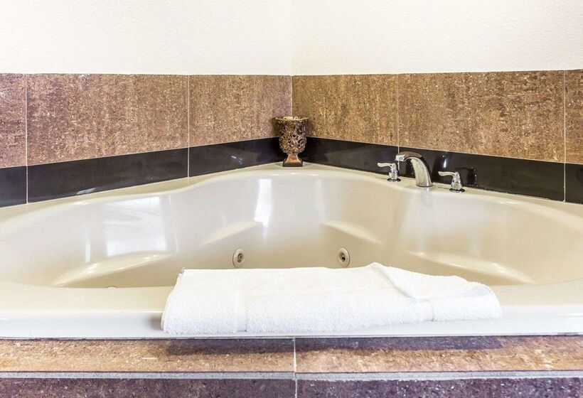 هتل Quality Inn & Suites Coliseum