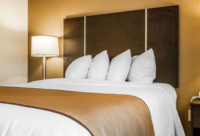 هتل Quality Inn & Suites
