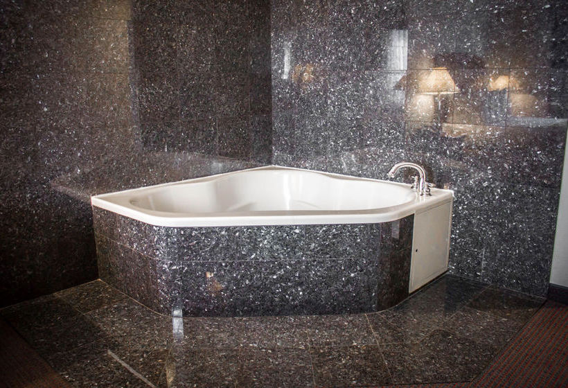 فندق Quality Inn Long Island City  Queensboro Bridge