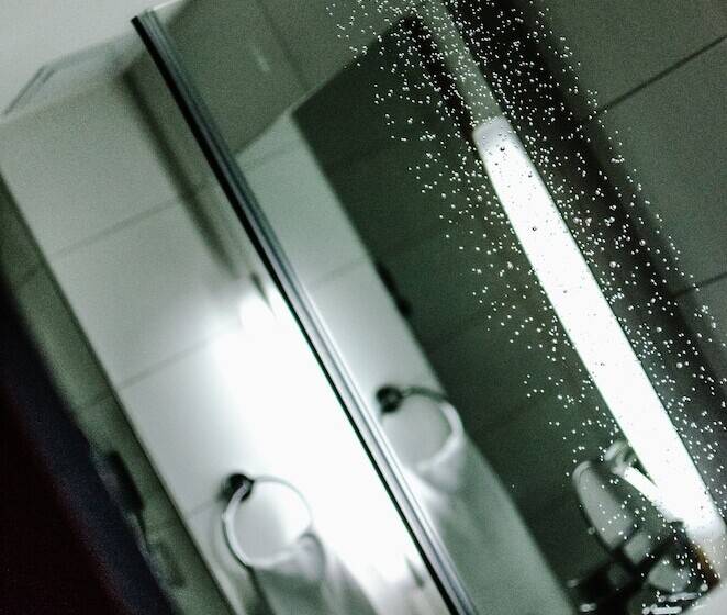 Fotos del hotel Royal Park Boutique:  10