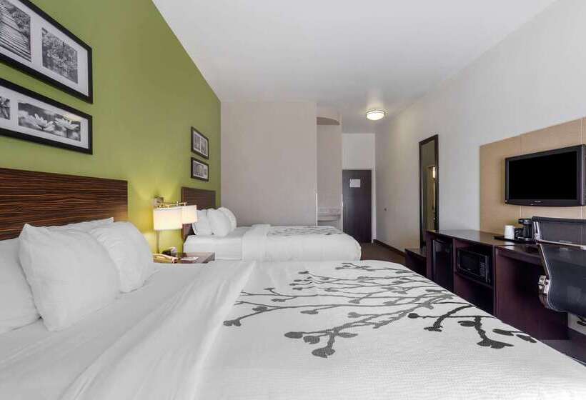 Отель Sleep Inn & Suites