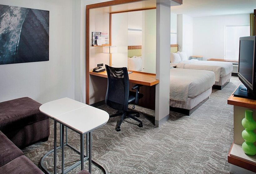 هتل Springhill Suites By Marriott Savannah Downtown Historic District