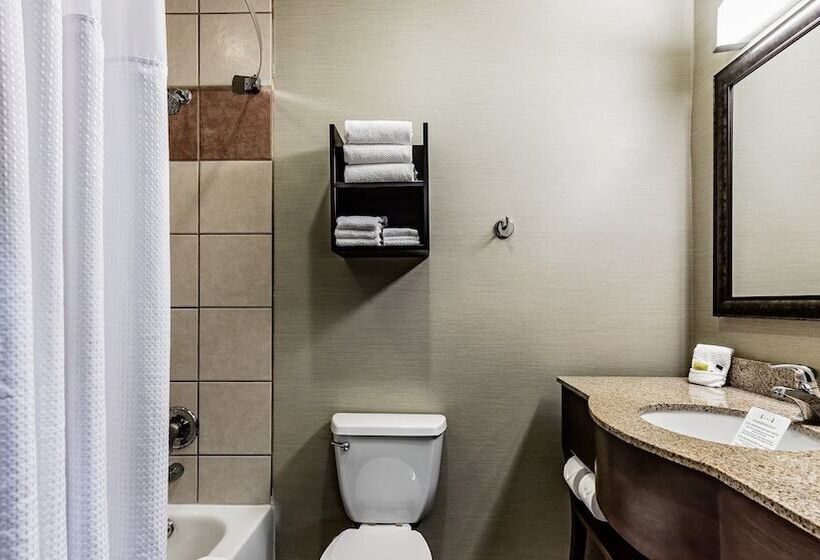 هتل Staybridge Suites Laredo, An Ihg