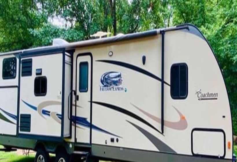 Connie S Camp