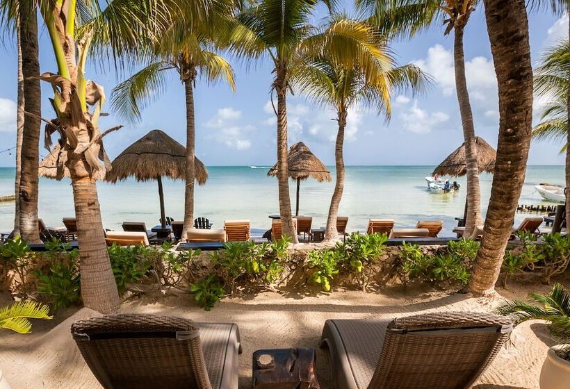 Beachfront Hotel La Palapa   Adults Only