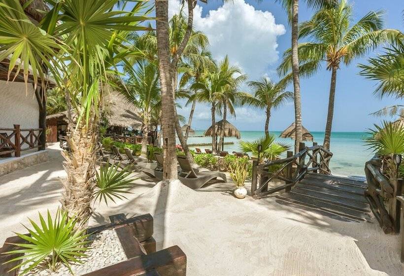 Beachfront Hotel La Palapa   Adults Only