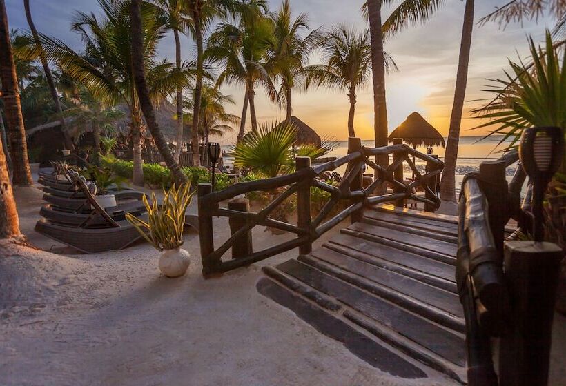 Beachfront Hotel La Palapa   Adults Only