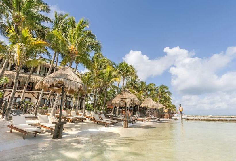 Beachfront Hotel La Palapa   Adults Only
