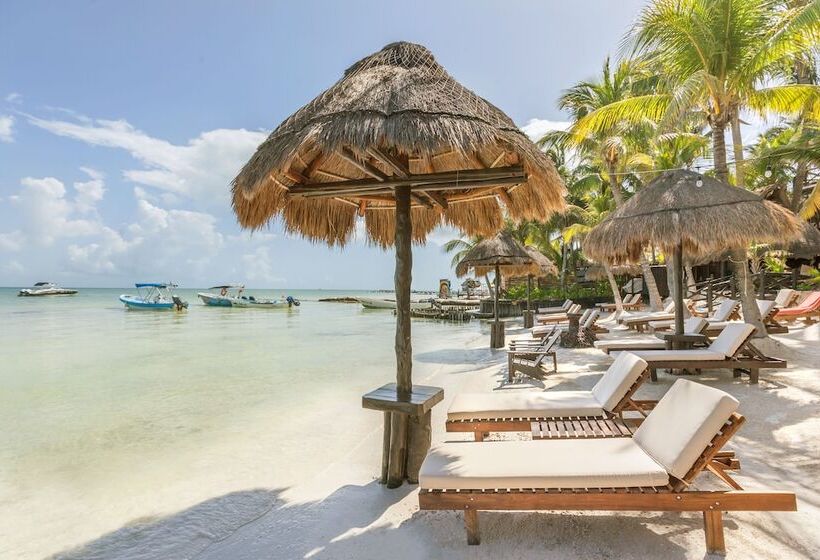 Beachfront Hotel La Palapa   Adults Only