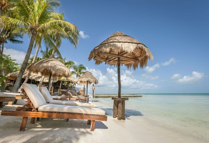 Beachfront Hotel La Palapa   Adults Only