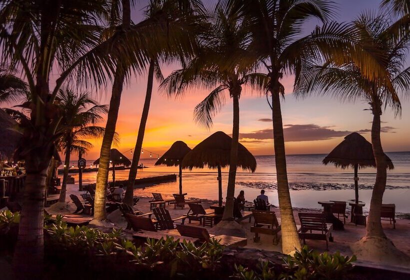 Beachfront Hotel La Palapa   Adults Only
