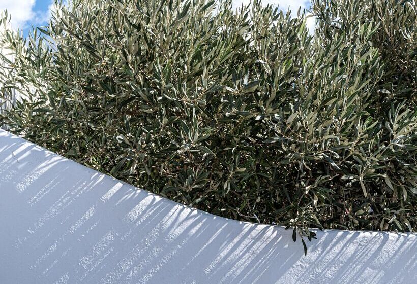 هتل Andronis Luxury Suites