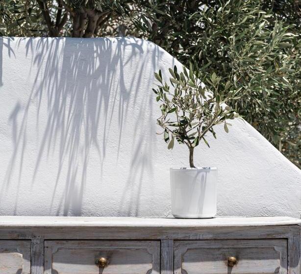 هتل Andronis Luxury Suites