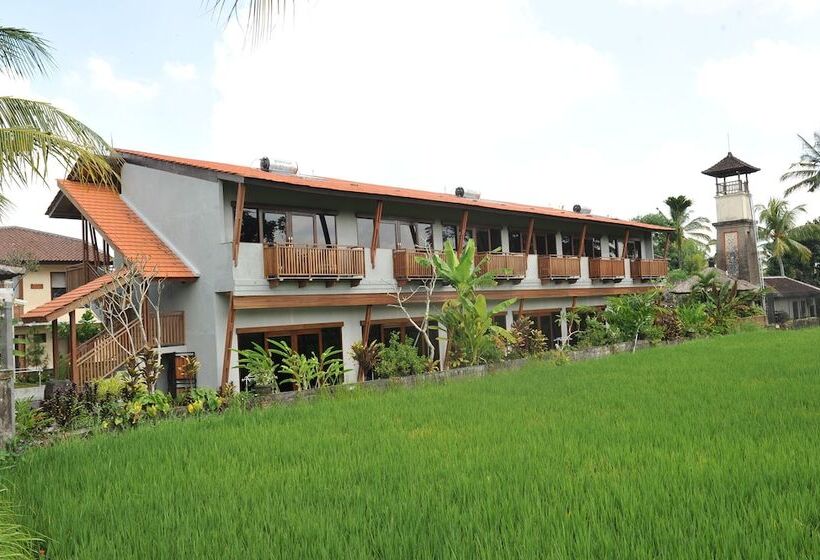 Fotos del hotel Anini Raka Resort & Spa:  21