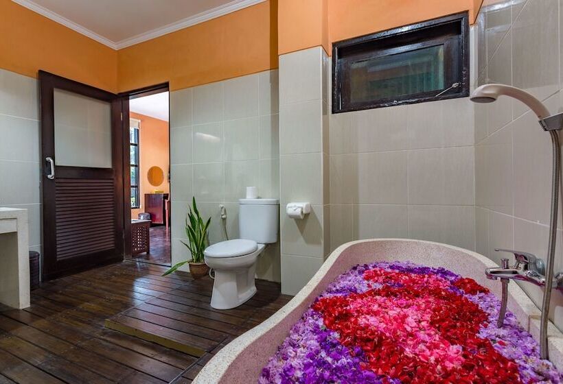 Fotos del hotel Anini Raka Resort & Spa:  12