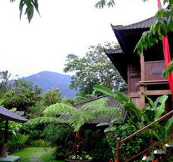 فندق Bali Mountain Retreat