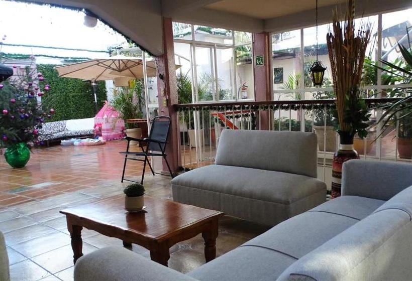 Fotos del hotel Barrio Antiguo:  28