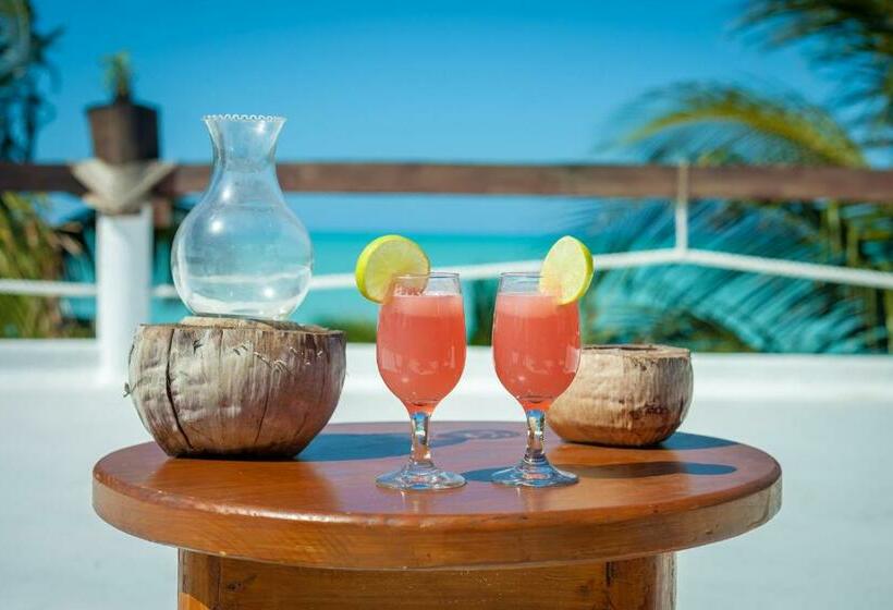 Beachfront Hotel La Palapa   Adults Only