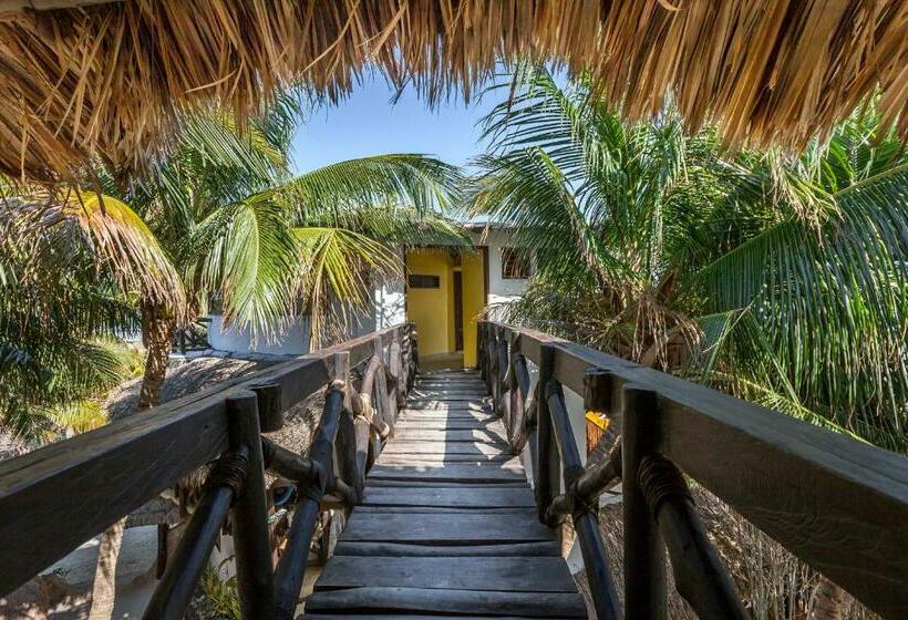 Beachfront Hotel La Palapa   Adults Only