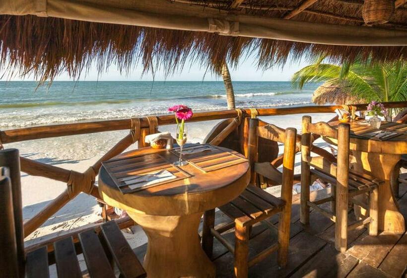 Beachfront Hotel La Palapa   Adults Only